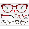 Cadre optique 1090 à la mode Tr90 en stock (8896, 8978, 8977, 5862)